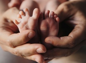 Свет в руках